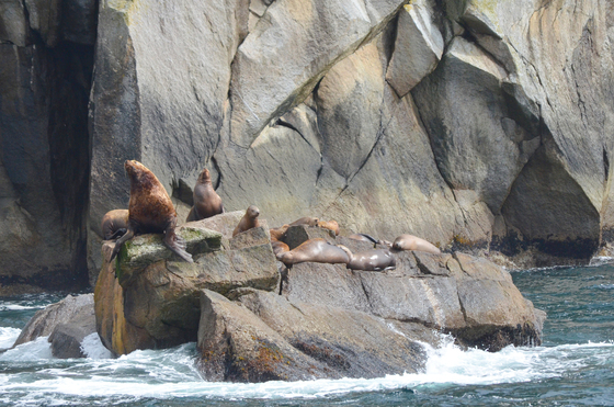 Kenai Fjords National Park