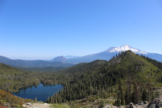 Shasta-Trinity National Forest, Castle Crags Wilderness 