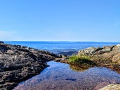 Shennendoah National Park