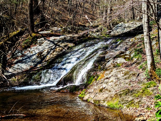 Shennendoah National Park
