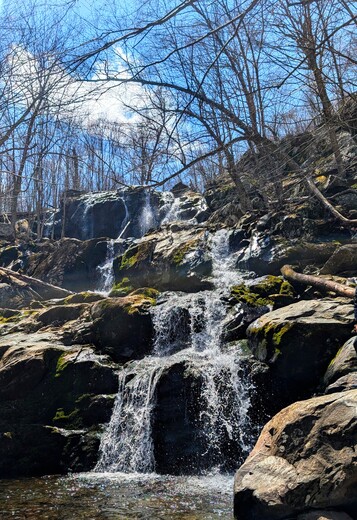 Shennendoah National Park