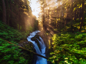 Olympic National Park