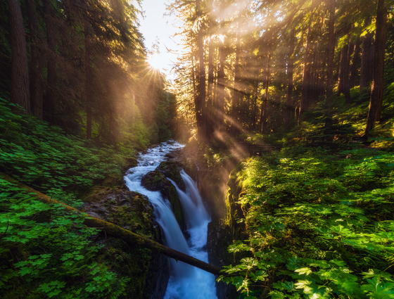 Olympic National Park