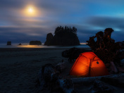 Olympic National Park 