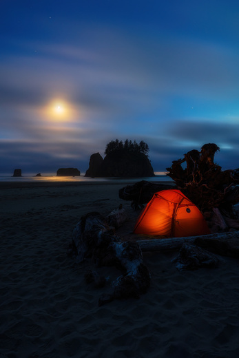 Olympic National Park 