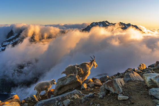 North Cascades National Park 