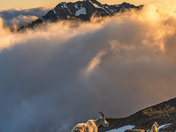 North Cascades National Park