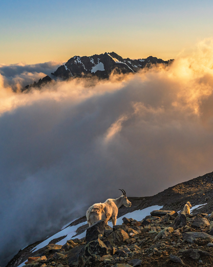 North Cascades National Park