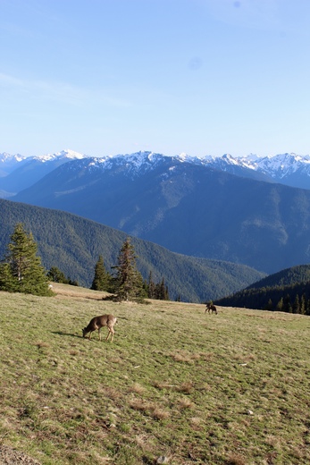 Olympic National Park