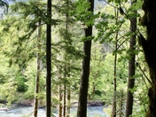 Olympic National Park