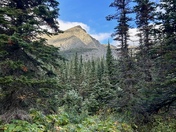 Mount Rainier National Park