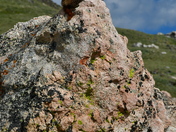 Rocky Mountain National Park