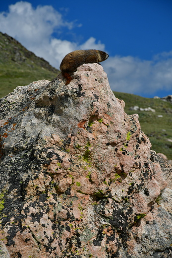 Rocky Mountain National Park