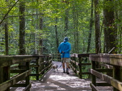 Congaree National Park 