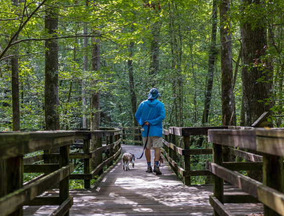 Congaree National Park 