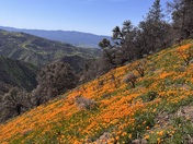 Figueroa Mountain