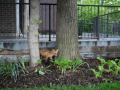 Hide and seek...and spotted