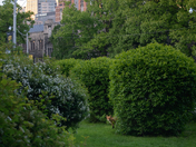 Hide and seek...and spotted