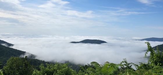 Shenandoah National Park 