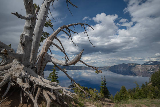 Crater Lake National Park