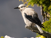 Crater Lake National Park