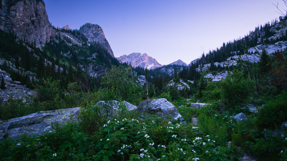 Grand Teton National Park