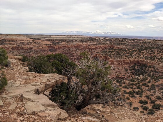 Canyonlands National Park