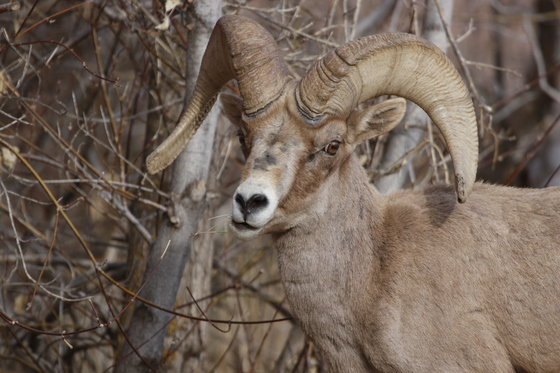 Zion National Park