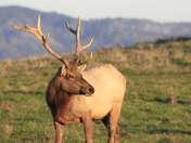 Point Reyes National Seashore
