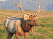 Point Reyes National Seashore