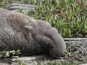 Point Reyes National Seashore