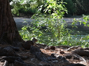 Yosemite National Park