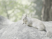 Yosemite National Park