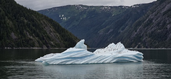 Tongass National Forest