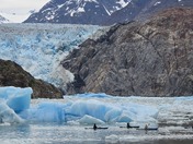 Tongass National Forest