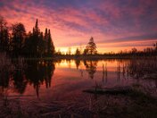 A Burning Reflection