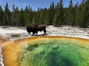 Yellowstone National Park