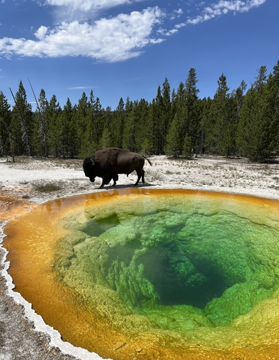 Yellowstone National Park