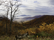 Shenandoah National Park