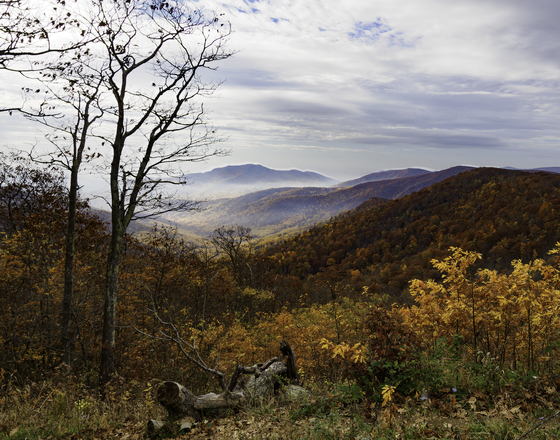 Shenandoah National Park