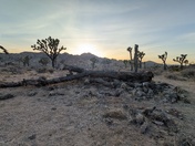 Joshua Tree National Park