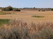 Kern National Wildlife Refuge 