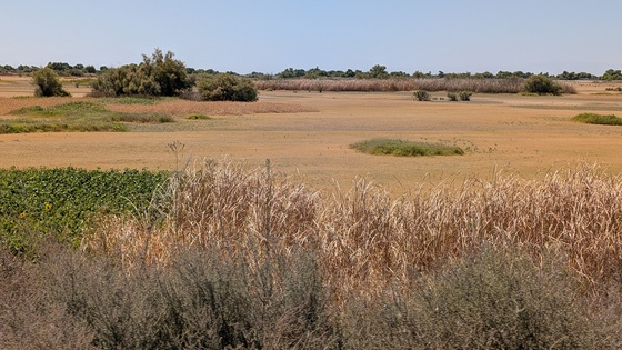 Kern National Wildlife Refuge 