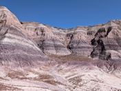 Petrified Forest National Park 