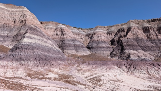 Petrified Forest National Park 