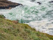 Point Reyes National Seashore