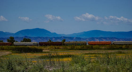Sacramento National Wildlife Refuge