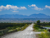 Sacramento National Wildlife Refuge