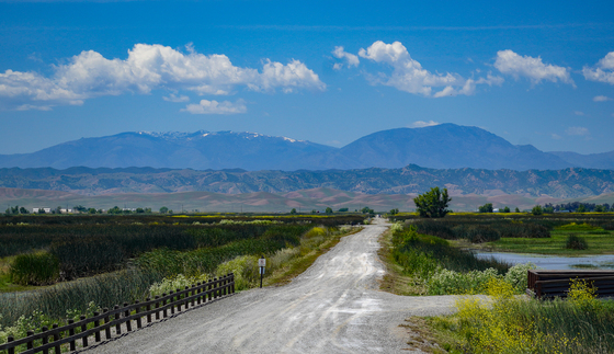 Sacramento National Wildlife Refuge