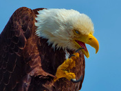 A Little Maintenance